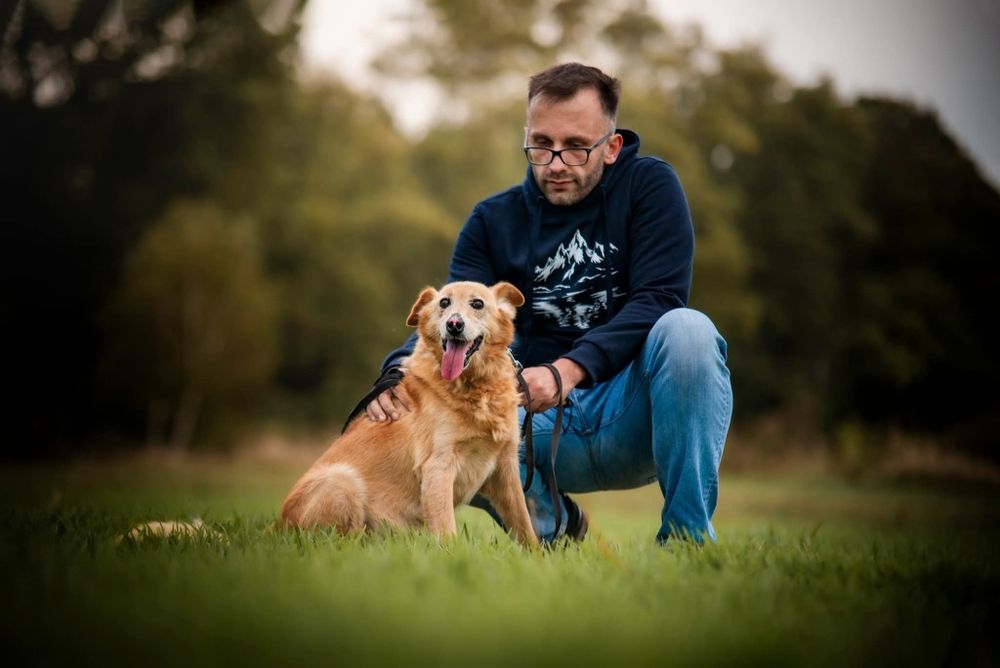 Beżowy puchaty piesek szuka domu