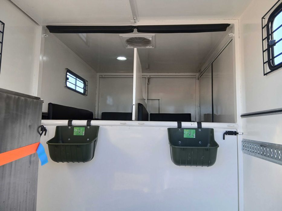 Renault Master transporte de cavalos