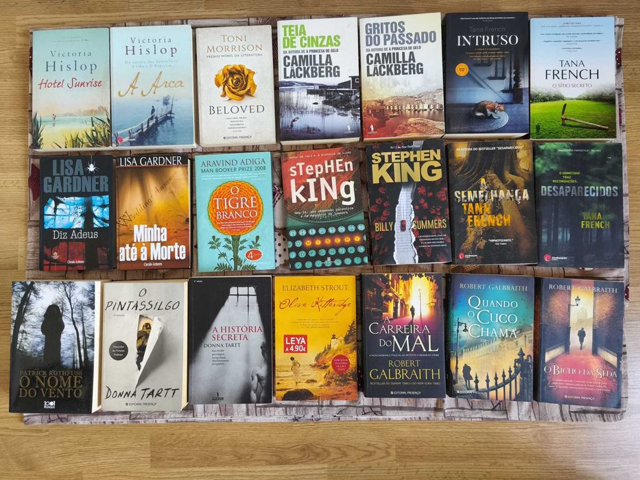 Livros Stephen King, George R.R. Martin, Margaret Atwood, etc