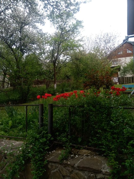 Відпочинок в Яремче недалеко до центру