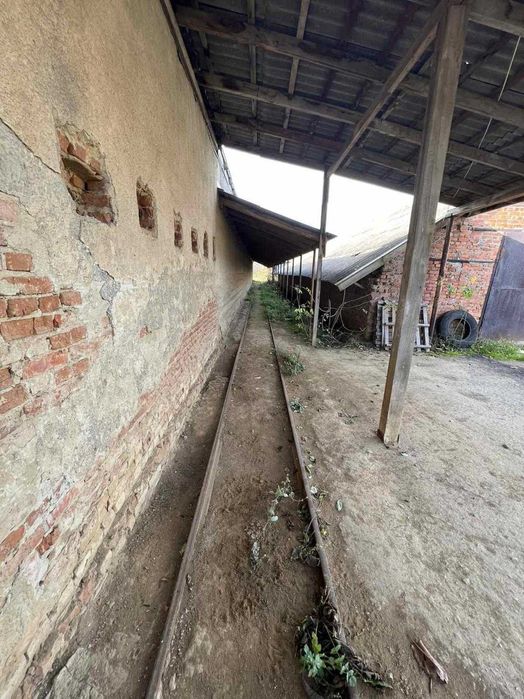 Продаж виробничо-складського приміщення, цегельний завод, с. Горбачі