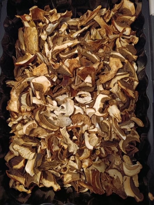 Sprzedam grzyby suszone