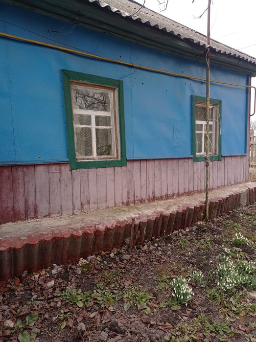 Помешкання в центрі селища Олишівка.