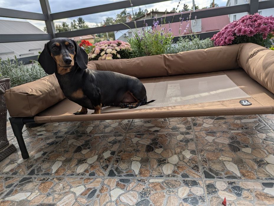 Лежак- диван для собак