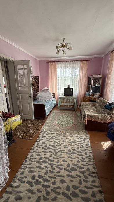Будинок в с.Палагичі