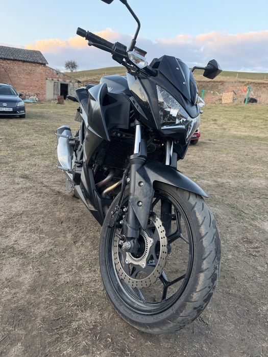 Kawasaki Z300/125