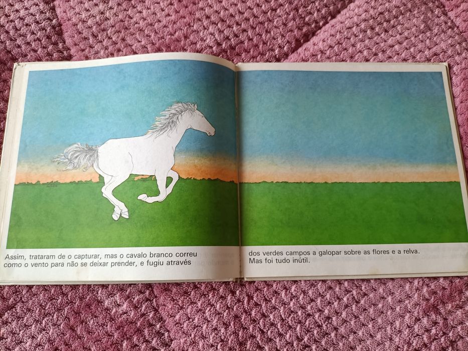 Livro O cavalo branco do ano 1982