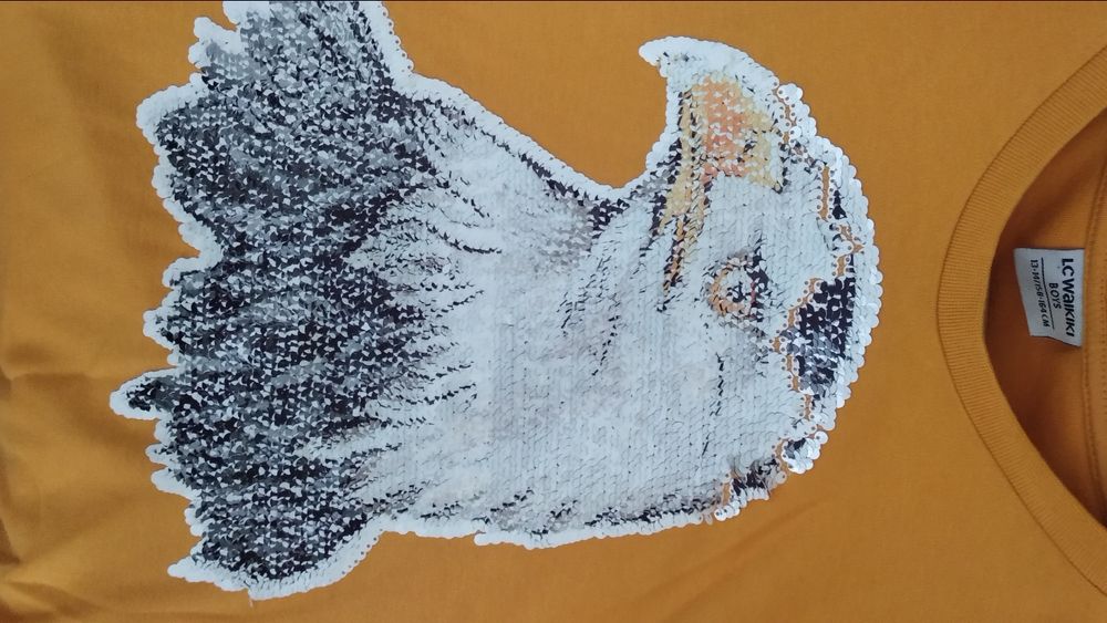 Світшот Waikiki 13-14 років