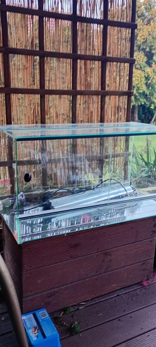 Terarium z oświetleniem