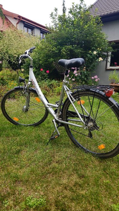 Rower Pegasus avanti