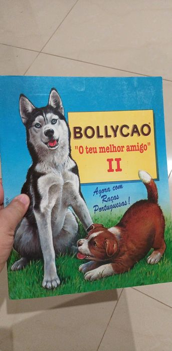 Cadernetas antigas de cromos incompletas e completa