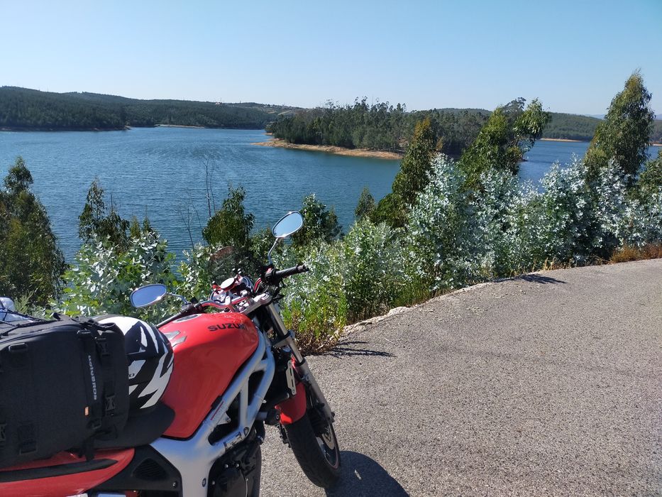 Suzuki SV 650 2001
