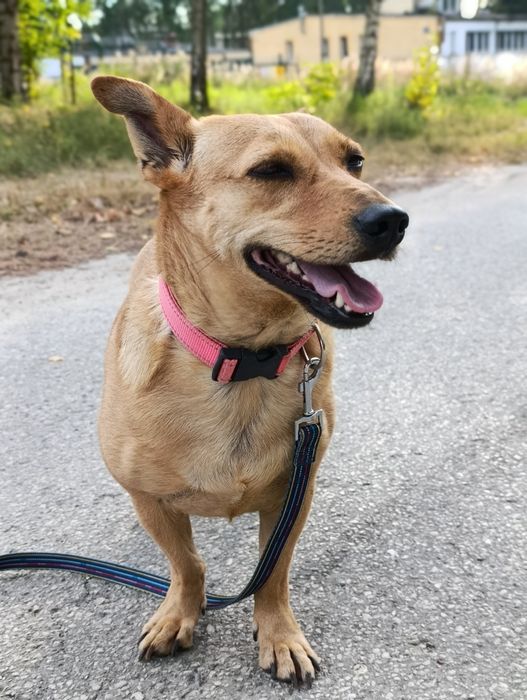 Nadia szuka kochającej rodziny