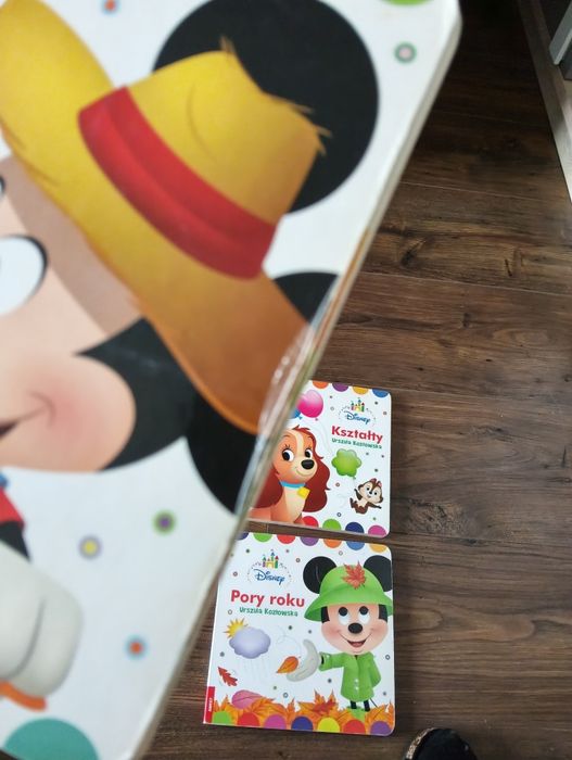 Książki Disney do nauki 0-2 lata