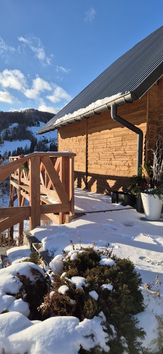 Domek w gorach z widokiem na Tatry /kominek/balia