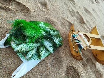 catamaran-barchino pesca aos robalos