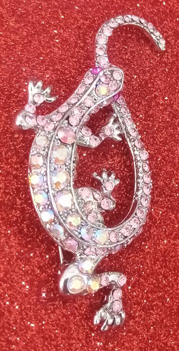 Bijuterias : Pregadeira , Anéis e Pulseiras