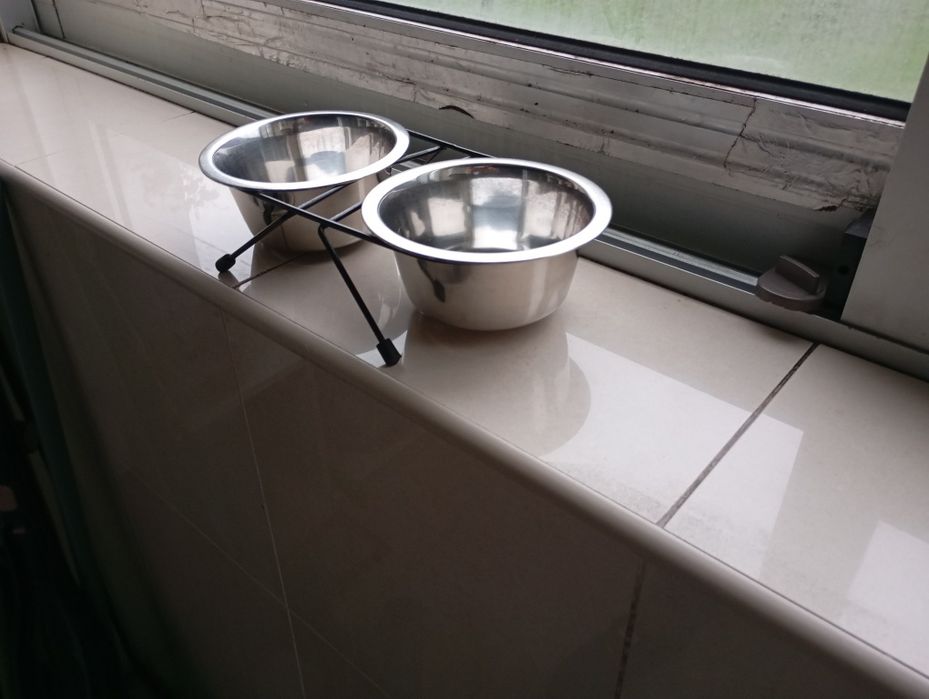 Taças inox comida gato