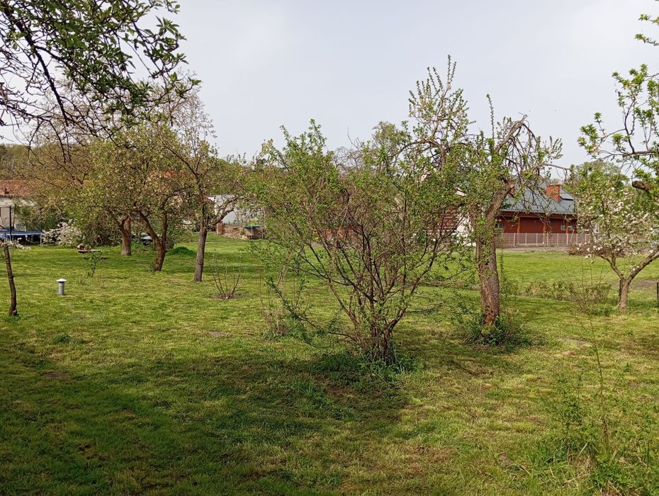 Sprzedam dom w Dąbroszynie