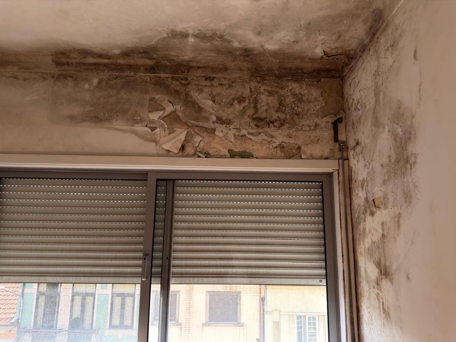 Serviços de Remodelação, Pinturas, Pladur e Chão Flutuante
