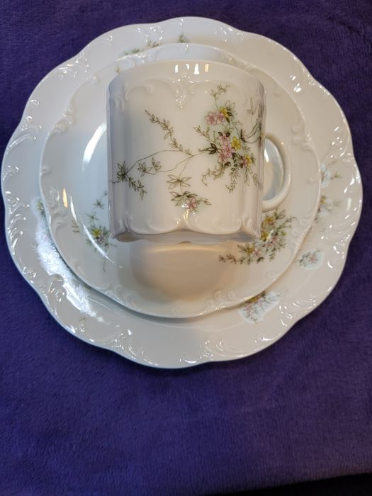 Serwis Rosenthal Classic Rose Monbijou Grün Ranke.