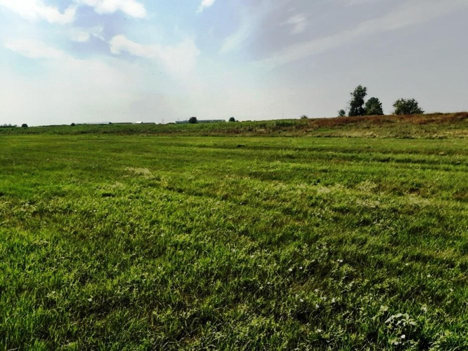 Продам 25c.  берег Орели с. Елизаветовка