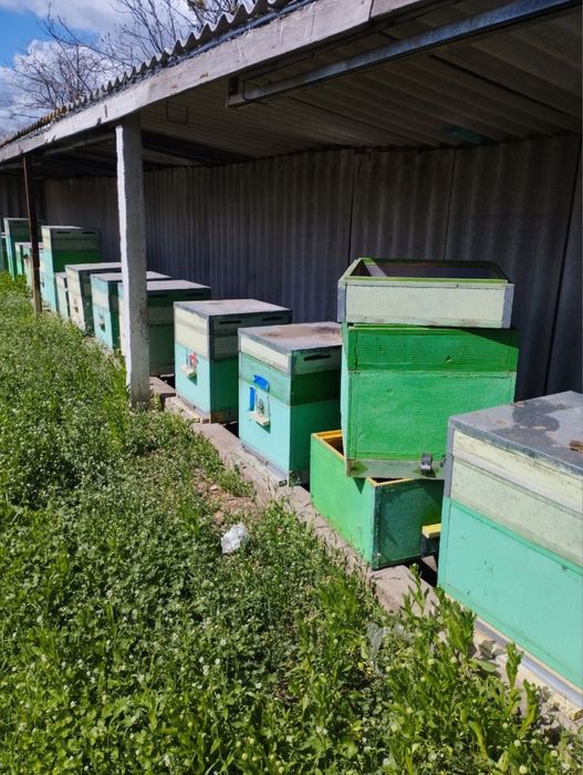 Продам Вулики пн