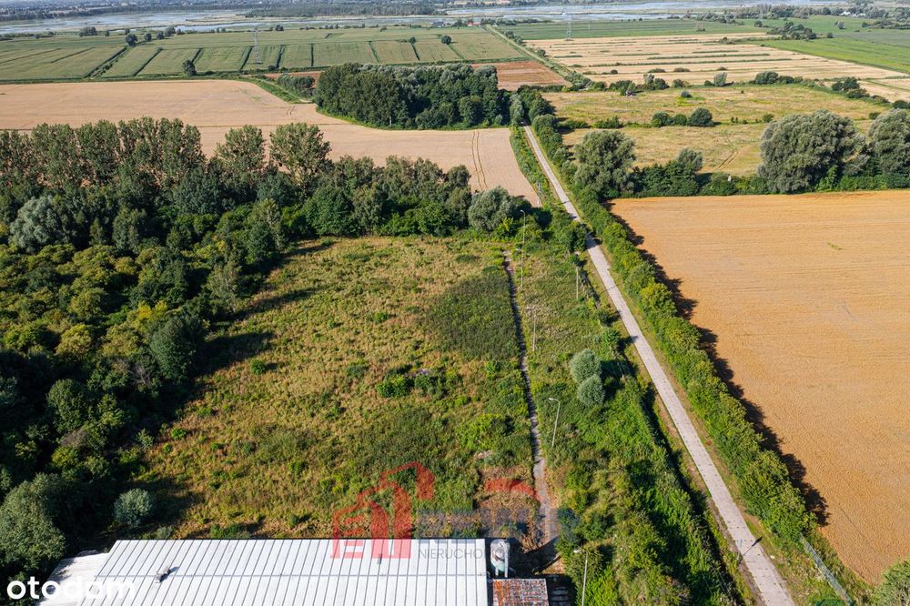 Działka inwestycyjna przy ul. Berylowej w Gronowie Górnym - Widok 4