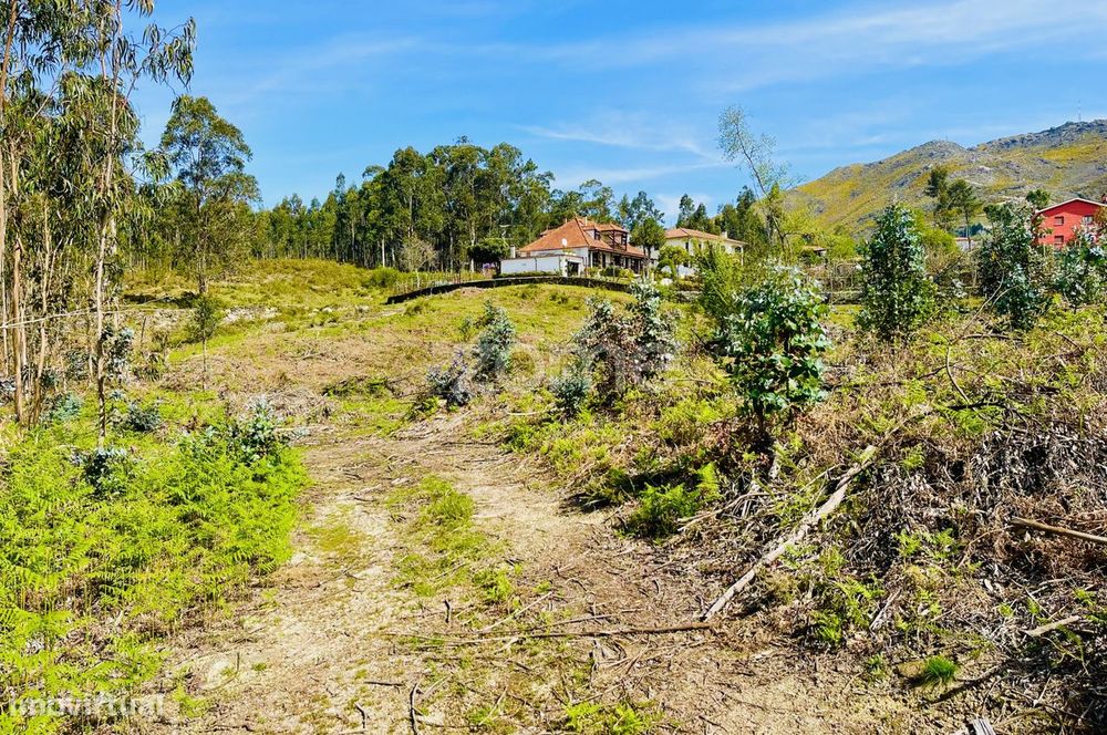 Terreno, Gondoriz — Gondoriz, Viana do Castelo