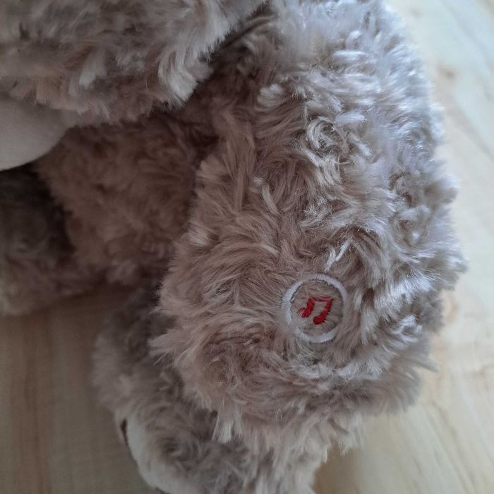 Interaktywny miś projektor sowa