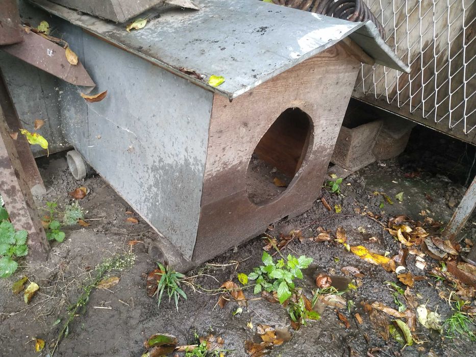 будка для собаки