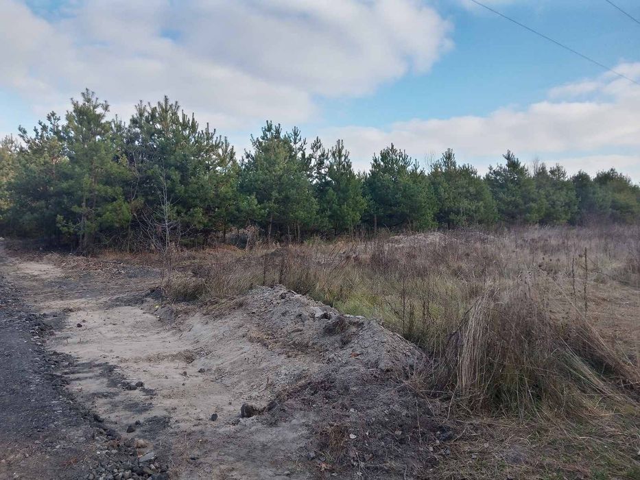 Продам земельну ділянку біля лісу