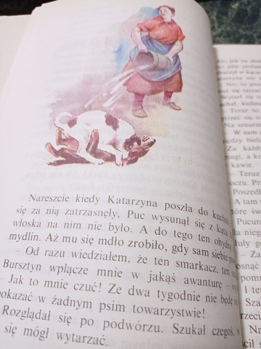 Puc, Bursztyn i goście - Jan Grabowski  Nasza Księgarnia