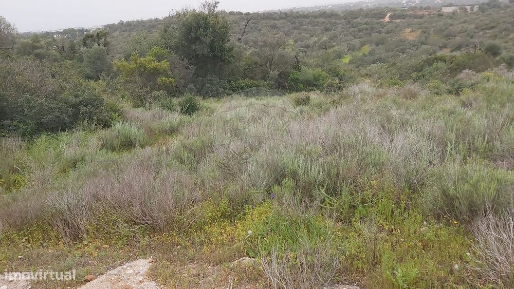 Terreno  para venda — Paderne, Faro