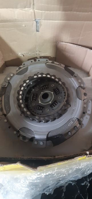 Щеплення нове luk