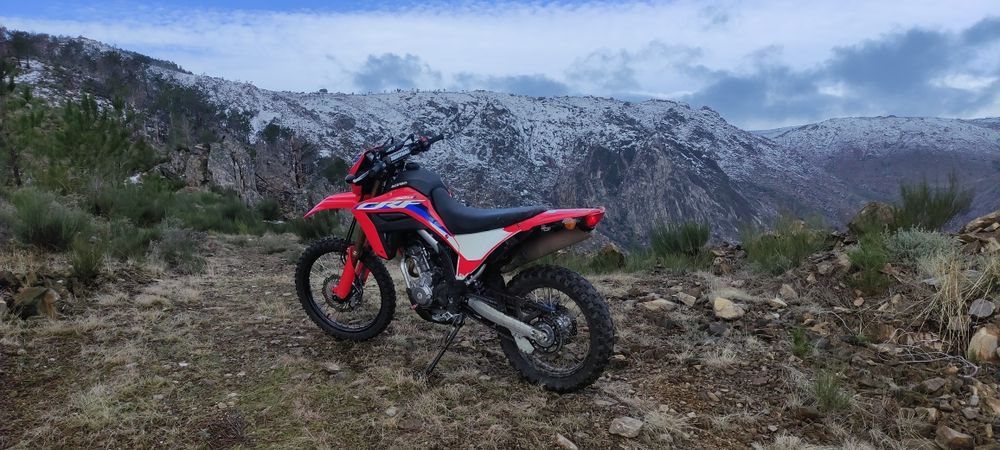 Honda CRF  300 L