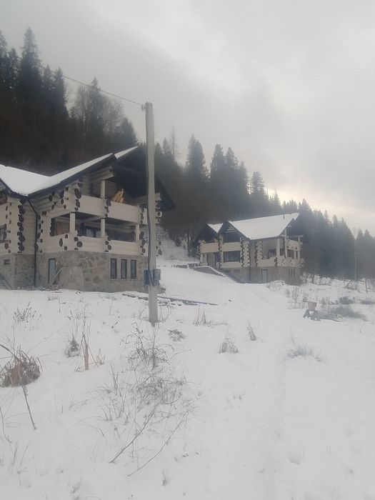 Продам будинок в Карпатах Микуличин