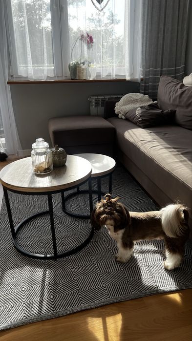 Stolik kawowy 2w1 okragły loft
