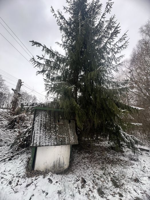 Продам земельну ділянку 89соток с.Здорівка