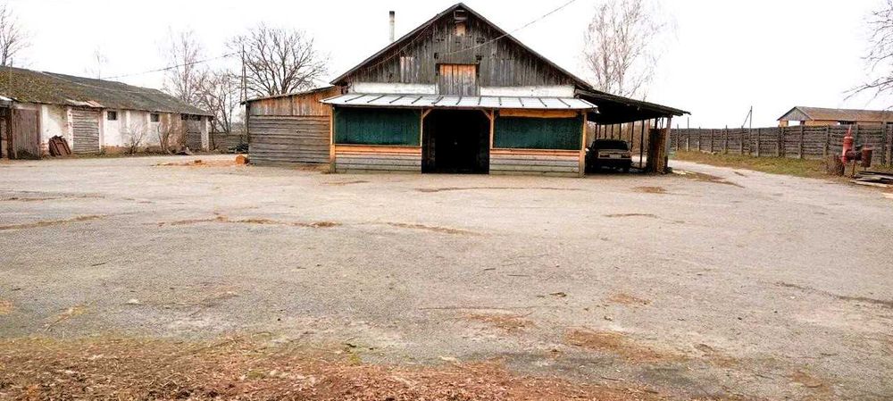 Продаж готового бизнеса (ферма) с.Рясне Житомирська обл.