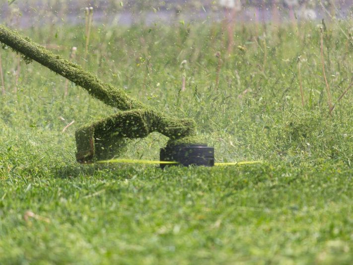 Koszenie trawy | Wykaszanie działek | Prace ogrodowe i porządkowe