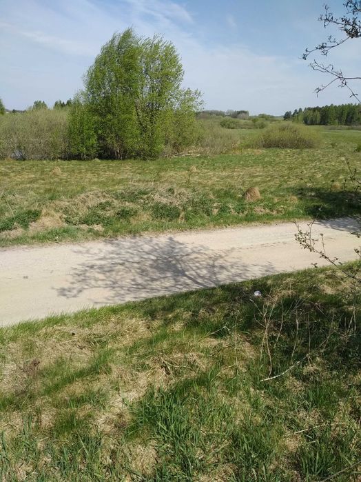 Działki  z  których    blisko   i    do  pracy  i  do lasu.