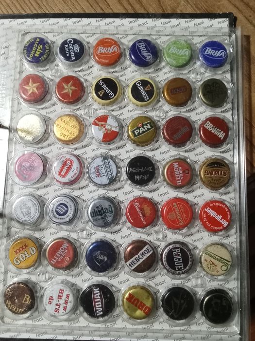 Lote de diversas sameiras