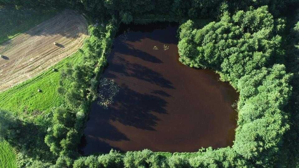 Zdjęcie 4