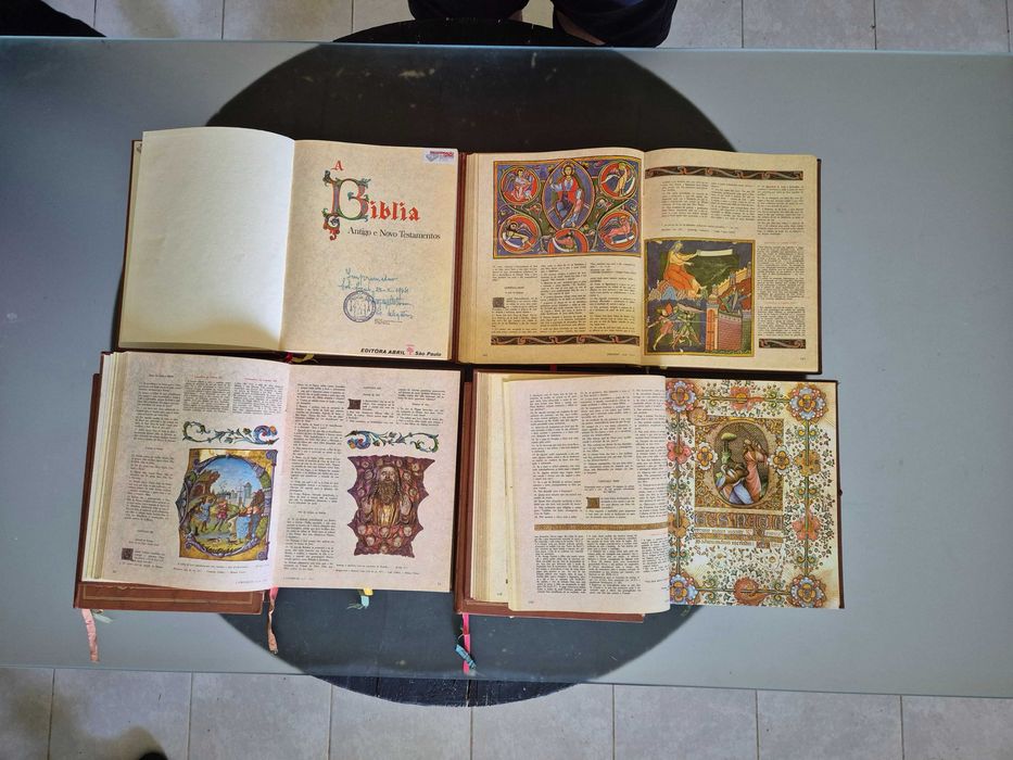 A Bíblia Sagrada (ilustrada e retalhada a ouro)