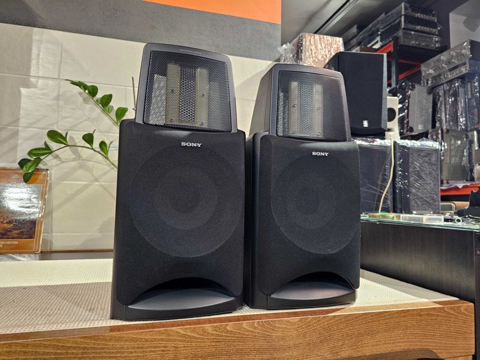 Електростати Sony SA-EX100 / SONY SA-S900
