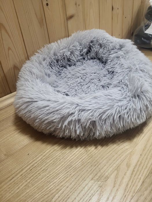 Котяче ліечко для котят