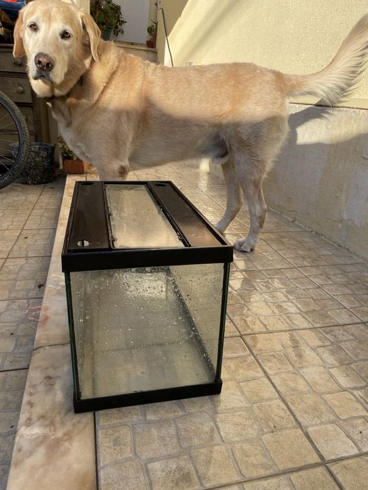 Vendo aquario para peixes tartarugas ou repteis