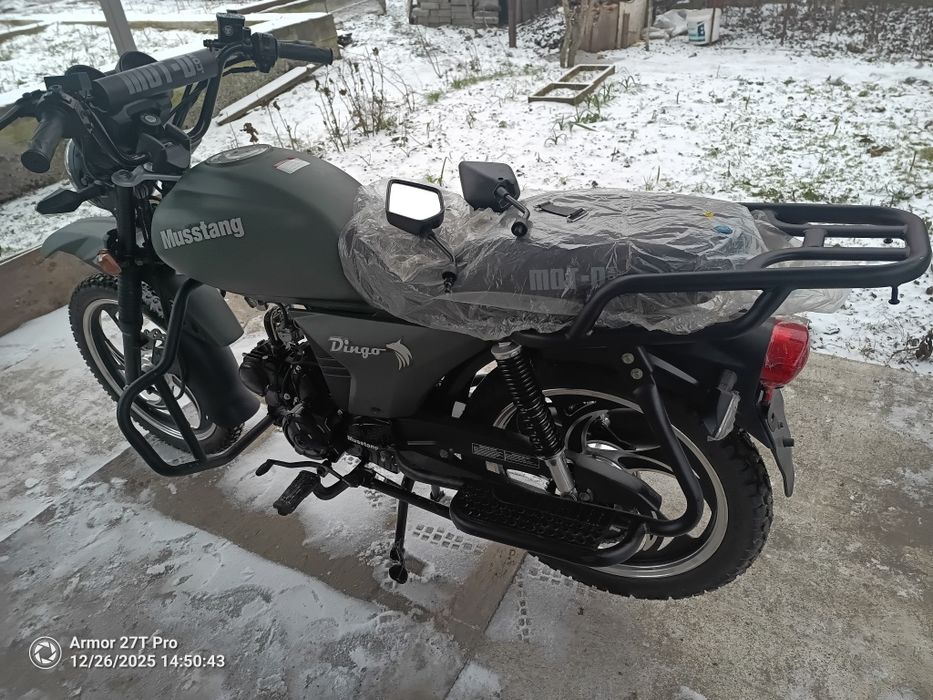 Mustang.MT-125. DINGO.