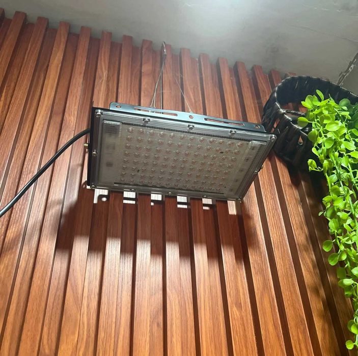 Мощная садовая Фитолампа полного спектра 300 Вт LED Grow для растений